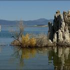 Mono Lake