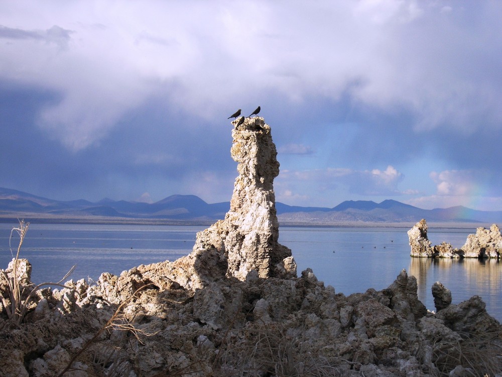 Mono Lake 1