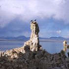 Mono Lake 1