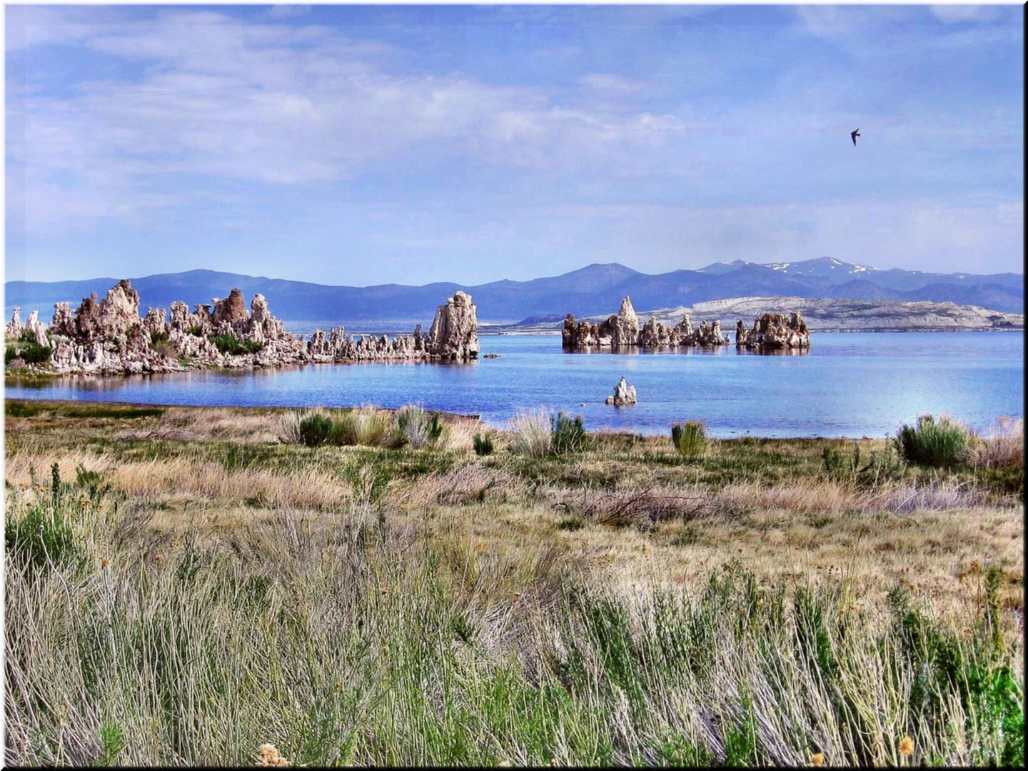 Mono Lake