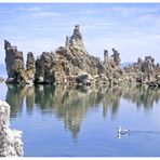 Mono Lake