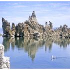 Mono Lake