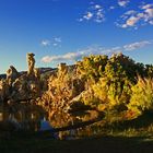 Mono Lake 2