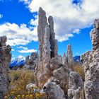 Mono Lake 2 - California