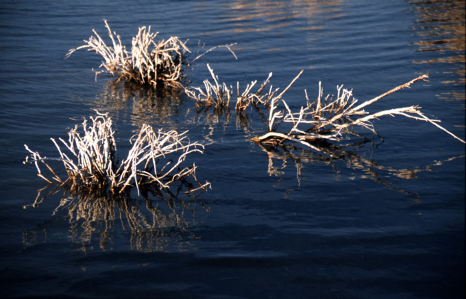 Mono Lake 3