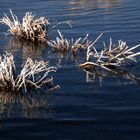 Mono Lake 3