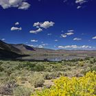 Mono Lake 3