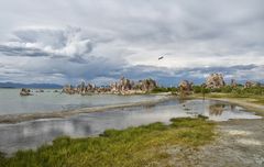 Mono lake