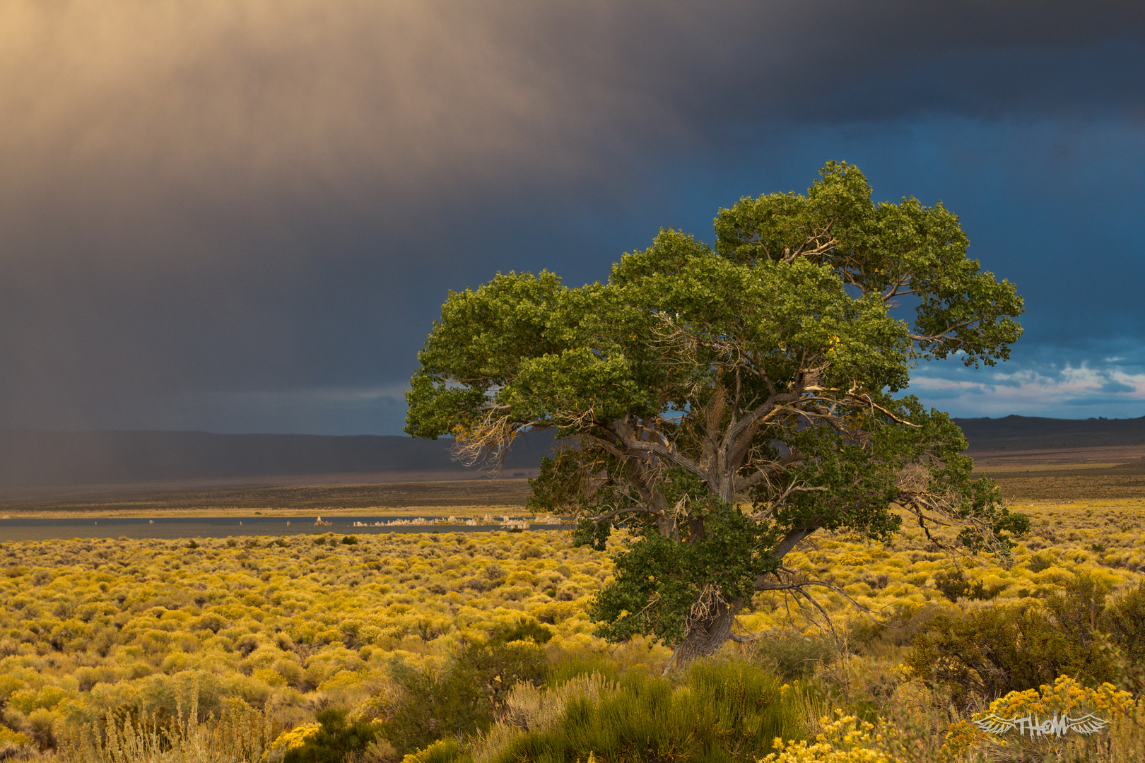 Mono Lake