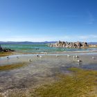 Mono Lake