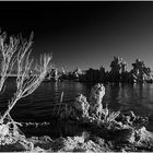 Mono Lake