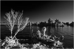 Mono Lake