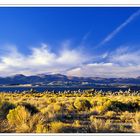 Mono Lake