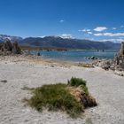 Mono Lake