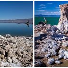 Mono Lake .........