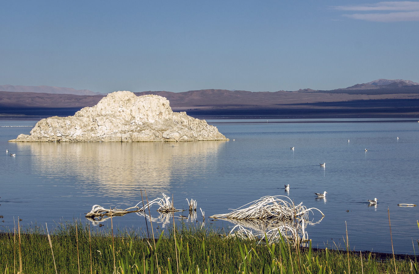 Mono Lake bei Lee Vining (Nordseite)