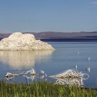 Mono Lake bei Lee Vining (Nordseite)