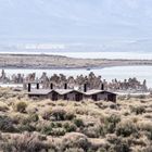 Mono Lake