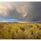 Mono Lake - California