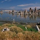 Mono Lake - Californien