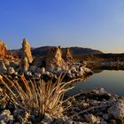 Mono Lake