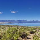 Mono-Lake 