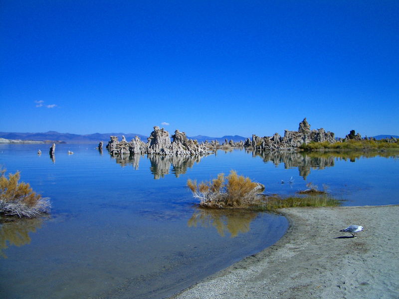 Mono Lake