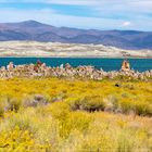 Mono Lake