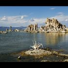 [ Mono Lake ]