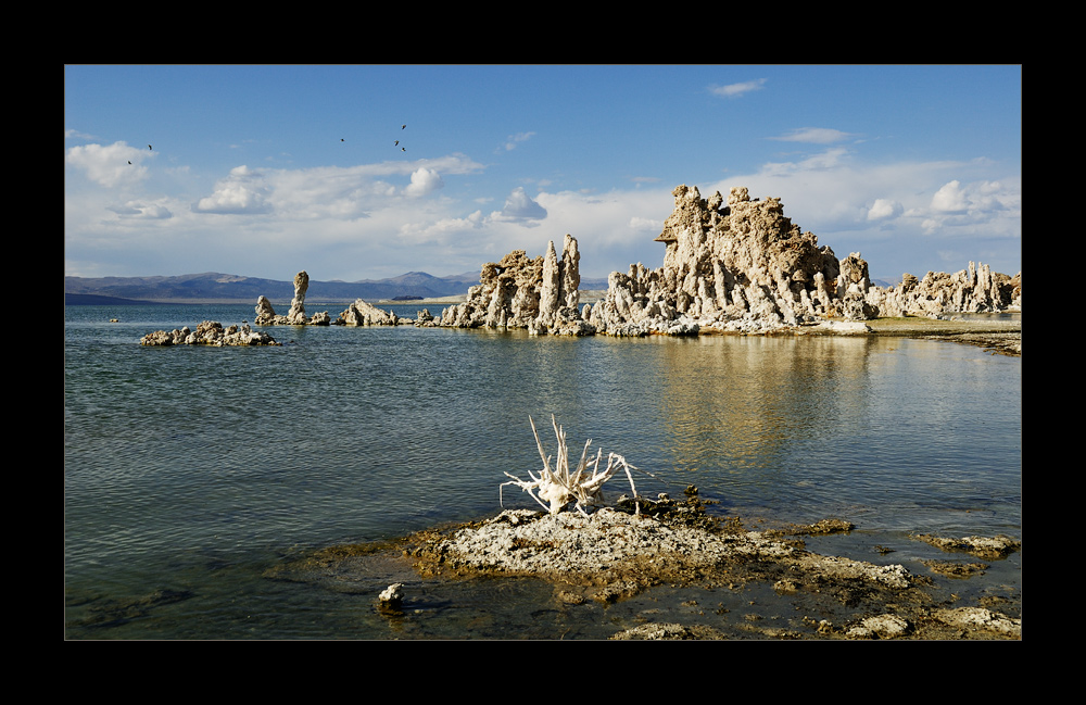 [ Mono Lake ]