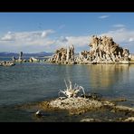 [ Mono Lake ]