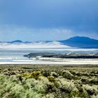 Mono Lake II