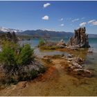 Mono Lake II