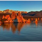 Mono Lake III