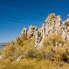 Mono Lake - Salzskulptur