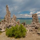 Mono Lake2