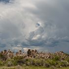 Mono Lake7