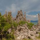 Mono Lake8