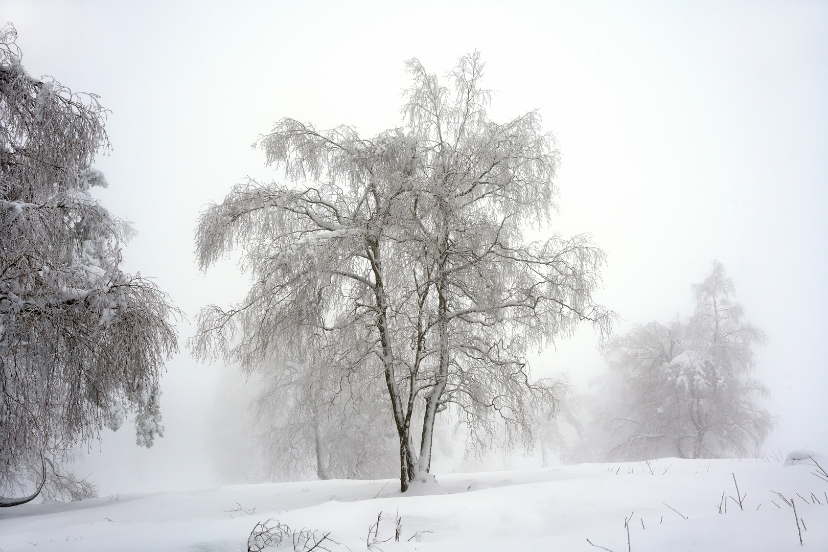 Monochrom, das andere Wetter-Gesicht am Kahlen Asten