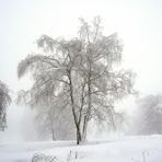 Monochrom, das andere Wetter-Gesicht am Kahlen Asten