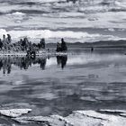 monochrom - der Mono Lake