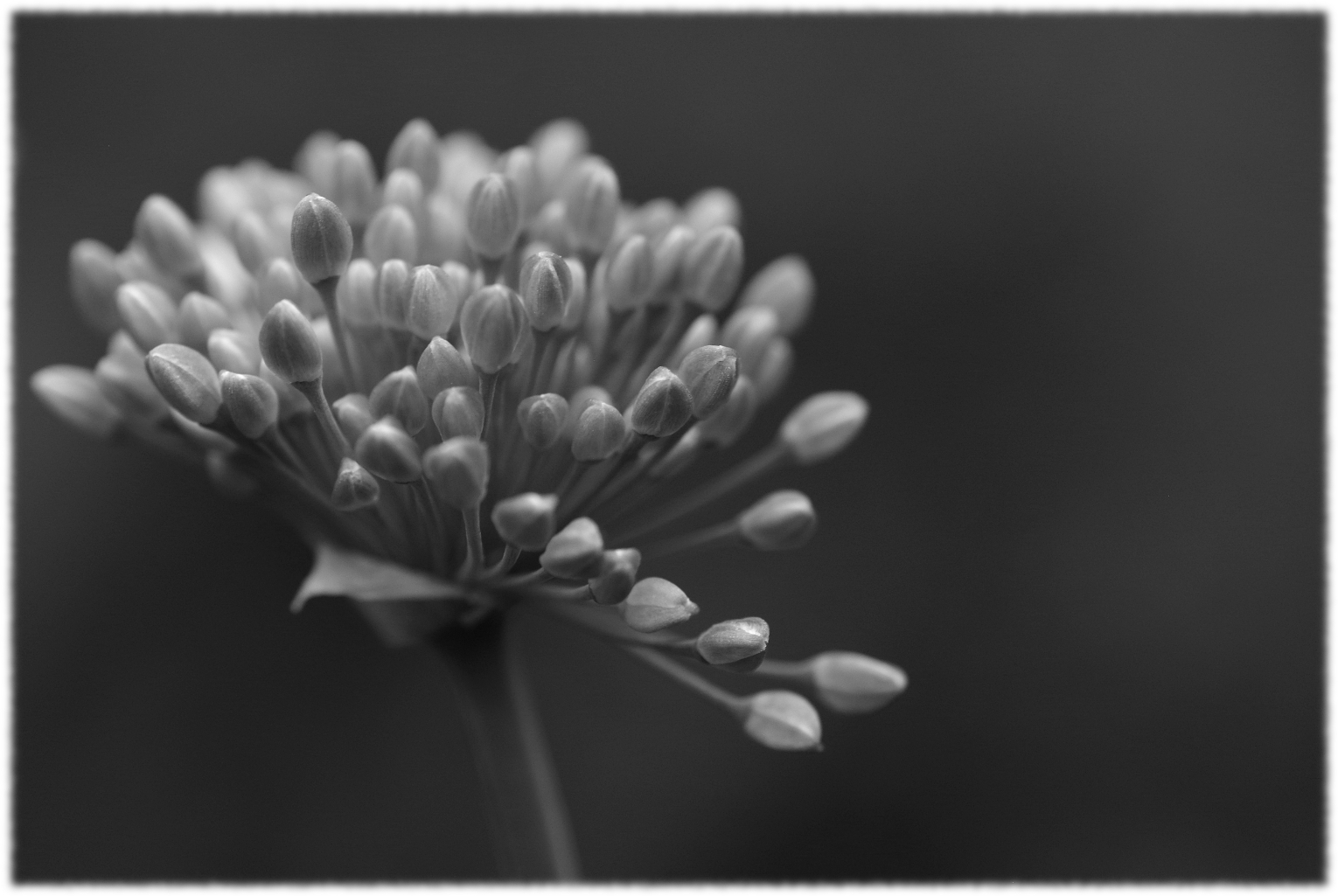 ... monochrom2014_0001 ...