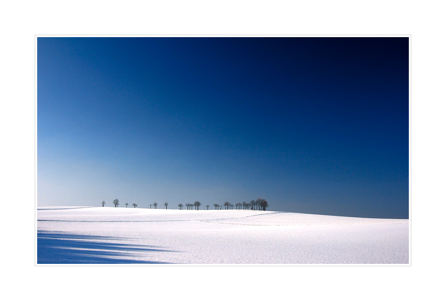 monochrome colours of winter