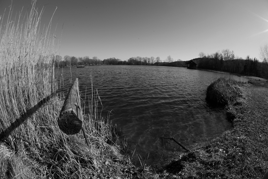 Monochrome Landschaft