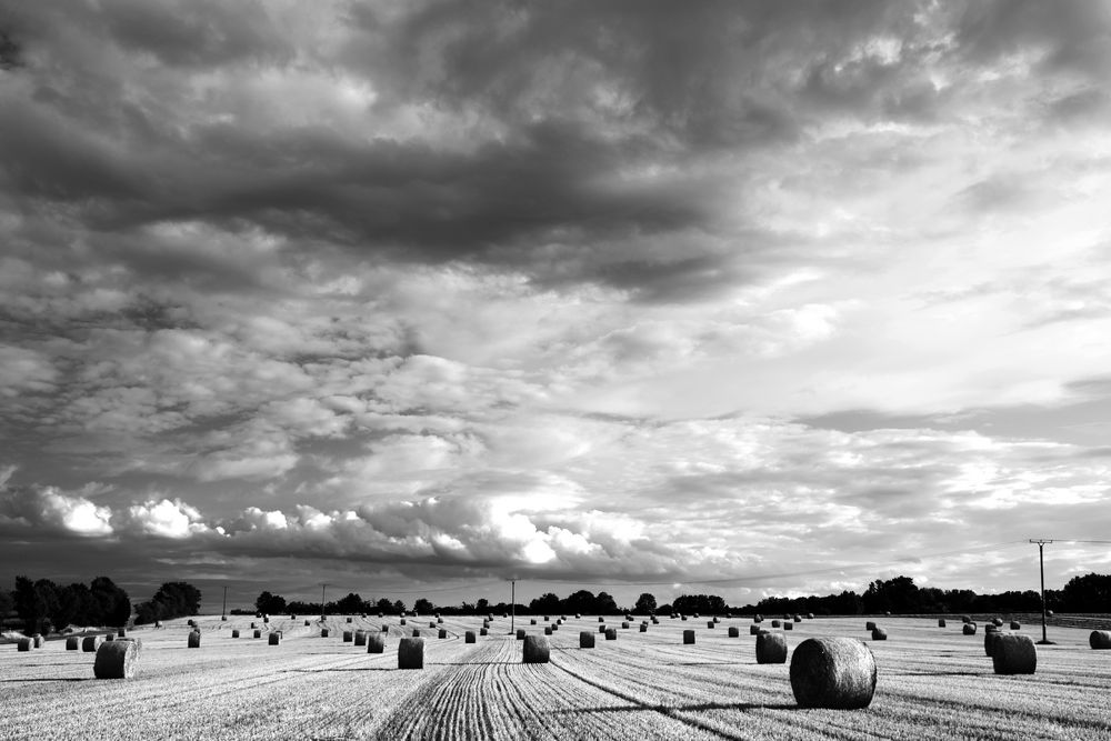 Monochrome - Landschaft