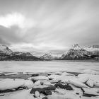 Monochrome Lofoten