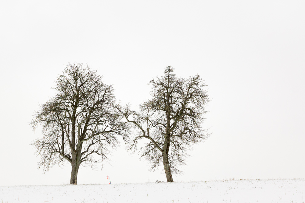 monochrome Winterlandschaft in Farbe