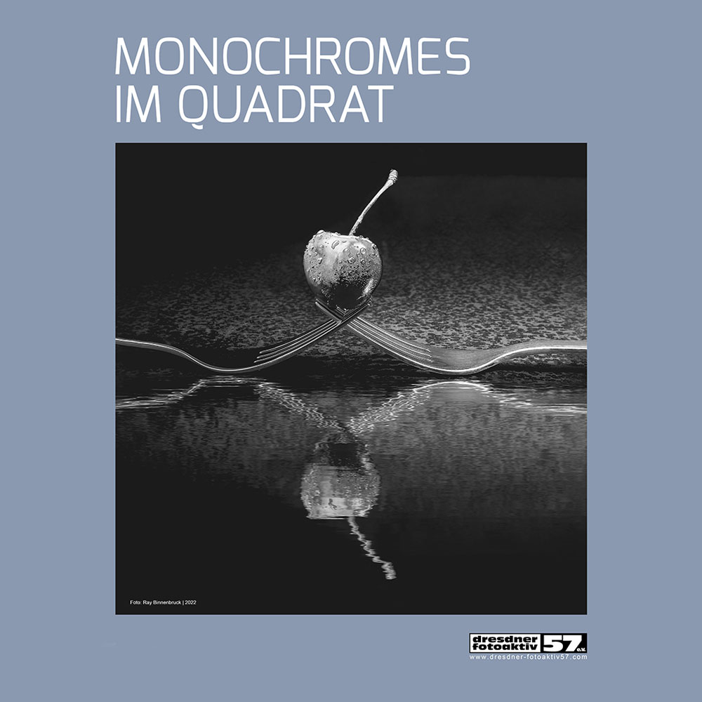 MONOCHROMES IM QUADRAT