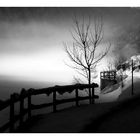 Monochromes Nebelleuchten