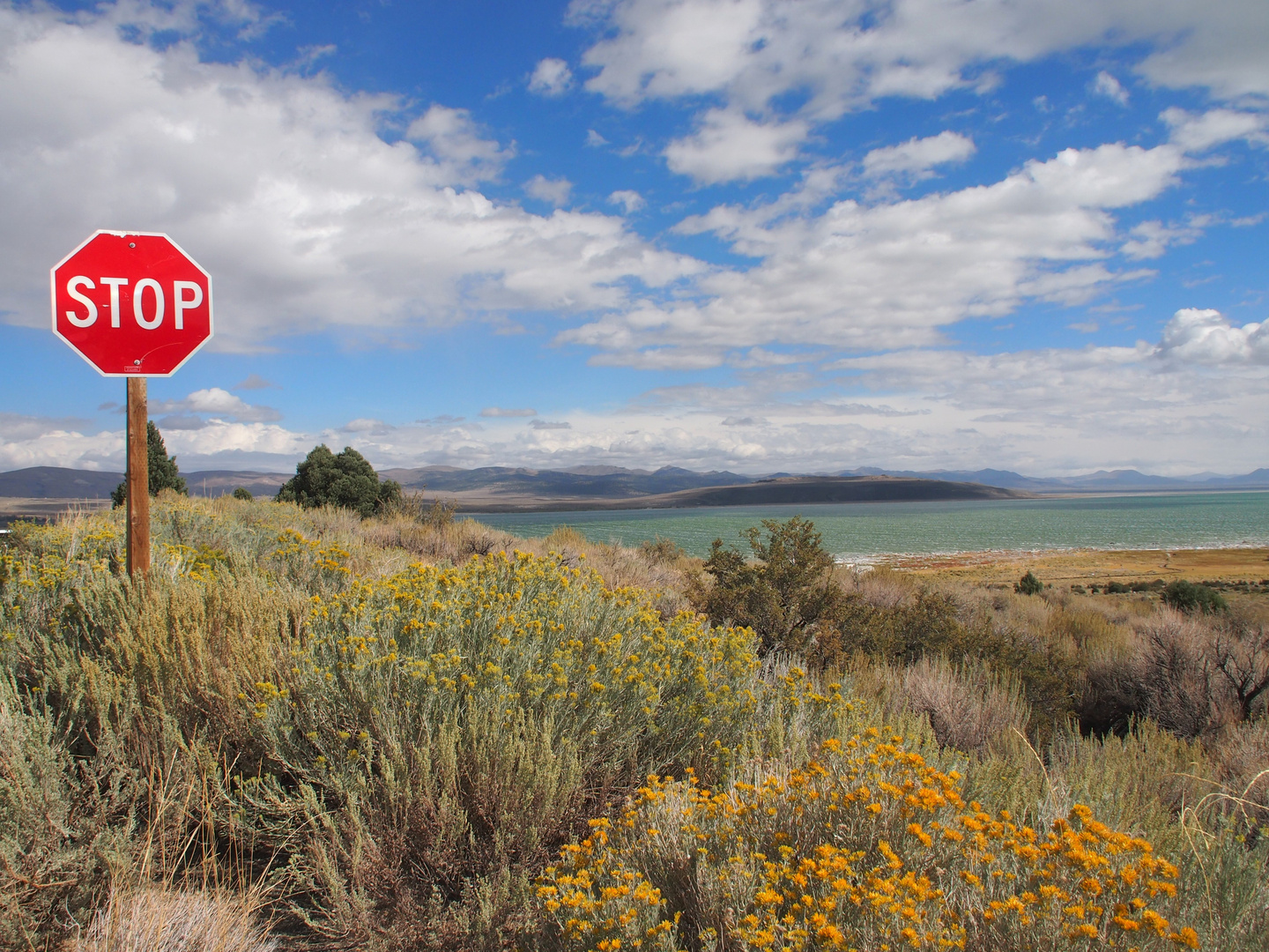 Monolake